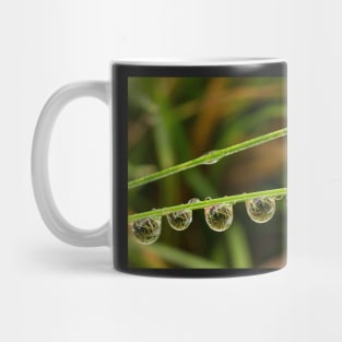 Water Drops with Reflection Mug